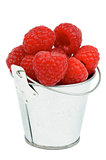 Raspberries in Bucket