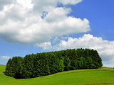 Fields, wood and a cloudy blue sky