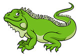 Cartoon Iguana Lizard