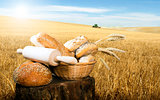 Bread and wheat cereal crops