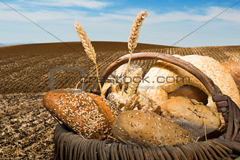 Bread and wheat cereal crops.
