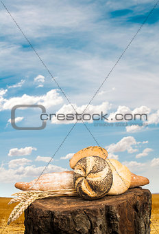 Bread and wheat cereal crops.