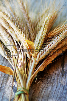 Spikes of Wheat on the Wood Background