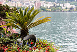 Nature adorn the promenade in Montreux