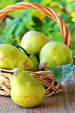 Ripe pears on basket