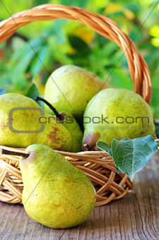 Ripe pears on basket