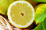 Slice of ripe lemon