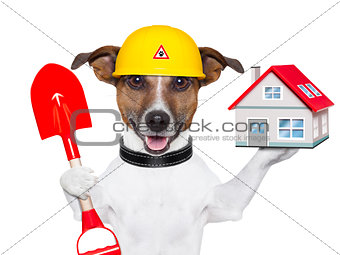 home dog builder