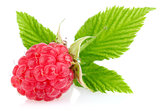 ripe raspberry with green leaf