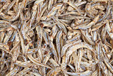Whitebait - anchovies