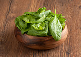 Salad with Spinach