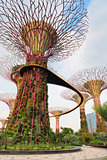 Walking bridge on Super trees in Gardens by the Bay Singapore
