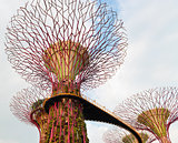 Walking bridge on Super trees in Gardens by the Bay Singapore