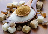 Various kinds of sugar, brown, white and refined sugar