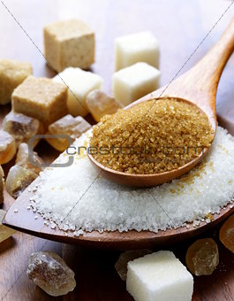 Various kinds of sugar, brown, white and refined sugar