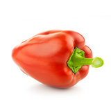 One big red Pepper -  isolated on white