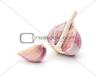 Garlic on white