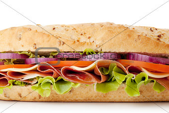 Long sandwich closeup