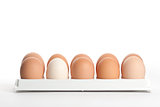 the hen's eggs in egg holder