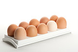 the hen's eggs in egg holder
