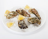 Oyster with lemon
