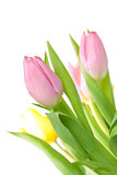 Beautiful pink tulip bouqet