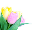 Beautiful tulip bouqet