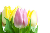 Beautiful pink and yellow tulip bouqet