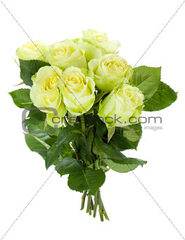 Green roses bouquet