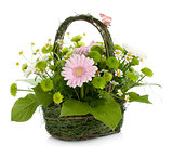 Bouquet of flowers in basket and butterfly