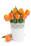 Orange tulips in flowerpot