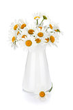 Chamomile bouquet in vase