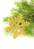 Christmas green fir tree  branches with beautiful decorations
