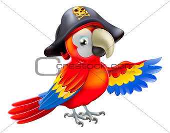 Cartoon pirate parrot