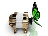 Green butterfly sits on a pulley gold generator