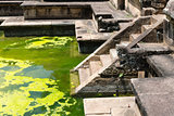 Ancient royal bathing pool