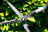 Pruning a Hedge