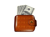 wallet full of dollars 