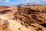 Petra desert