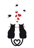 cats in love with hearts and birds, vector 