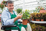 Man in a wheelchair holding a flower pot in a greenhouse
