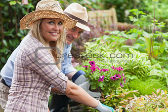 Man and woman working in the garden