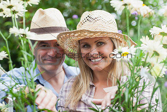 Smiling couple looking through daisies
