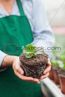 Garden center worker holding out plant