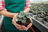 Garden center worker holding plant about to tbe potted