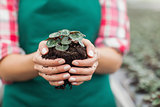 Garden center employee holding plant