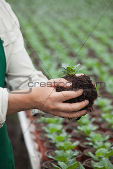 Man holding plant
