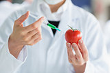 Scientist injecting a tomato