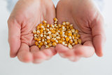 Woman holding corn grain