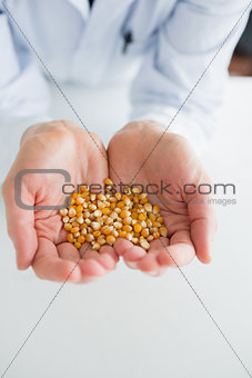 Man holding corn grain in his hands